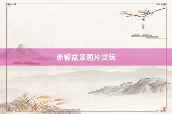 赤楠盆景图片赏玩