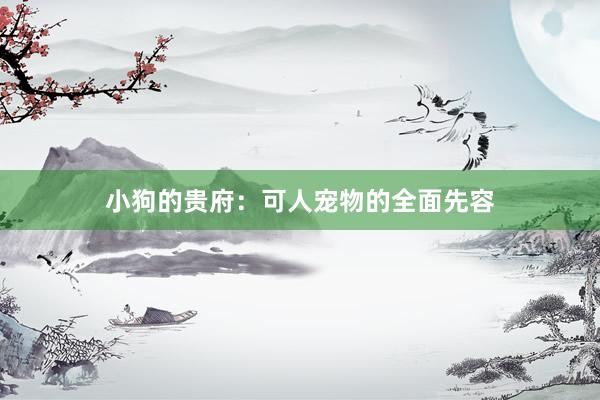 小狗的贵府：可人宠物的全面先容